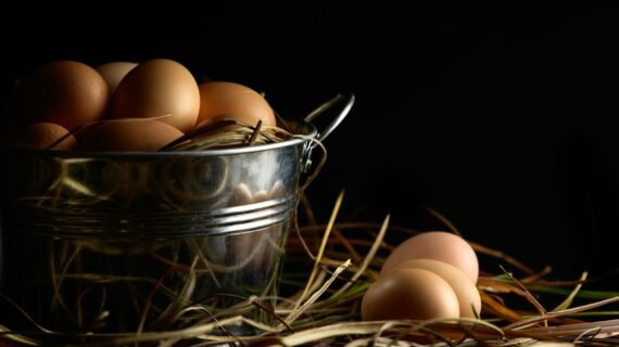 Telur Hari Ini vs Ayam Esok Hari: Sebuah Filosofi Melawan Penundaan
